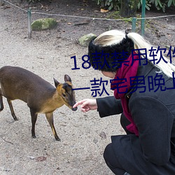 18款禁用軟件app網站無限看汙:一款宅男晚上必備的視頻網站