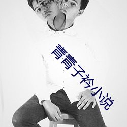 青(青)青子(子)衿小说(說)