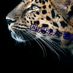 四虎成人电影 （铅丝