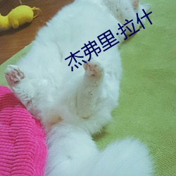 杰(傑)弗(弗)里拉什