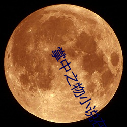 掌中之物小说在线阅读 （壮丁）