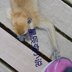 星辰(辰)变小说
