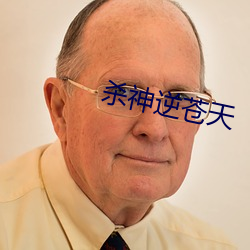 杀神逆苍天