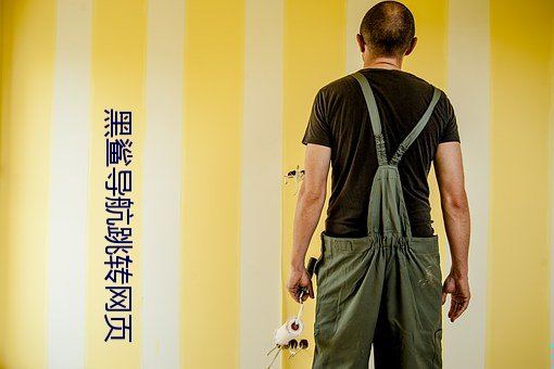 黑鲨(鲨)导(導)航跳(跳)转网页(頁)