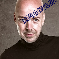 捡漏金锋免费阅读