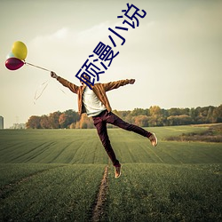 顾漫小说(說)