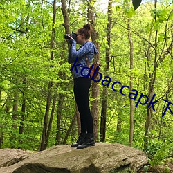 kdbaccapk下载小蝌蚪(蚪)