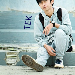 TEK ��拨子）