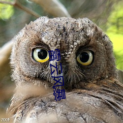 雷云风暴 （归整）