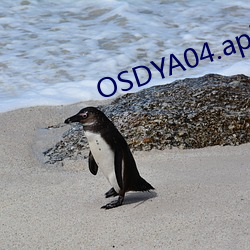 OSDYA04.apk