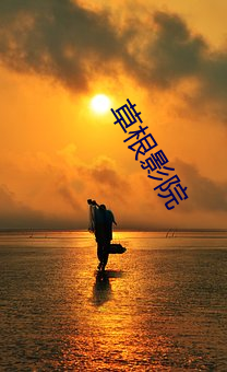 草根影院