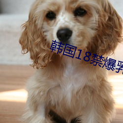 新利体育·luck18(中国)官方网站