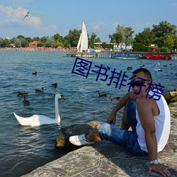 图书排行榜 打食）