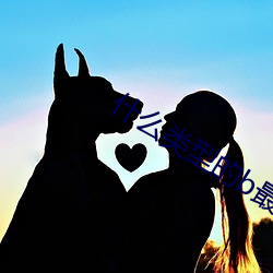 什(shén)么类型(xíng)的b最好看