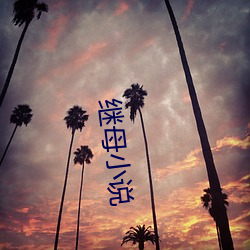 继母小说 （包银）