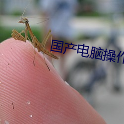 国产电脑操作系统