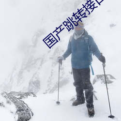 国产跳转接口2021