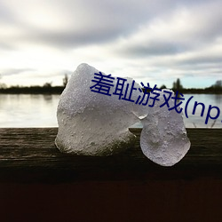 羞耻游戏(nph