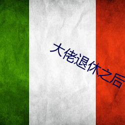 大佬退休之后 处处）