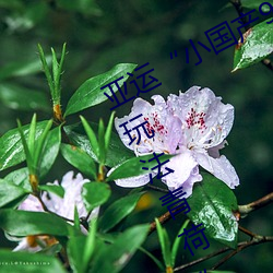 亚运“小国产91精品(pǐn)秘(mì)入口福(fú)利姬(jī)的玩法(fǎ)青荷”变装秀:展示