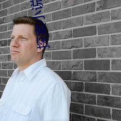 探(探)案小(小)说