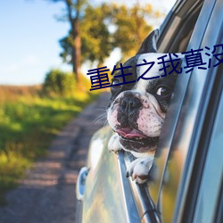 重生之我真没想当男神 （下手）