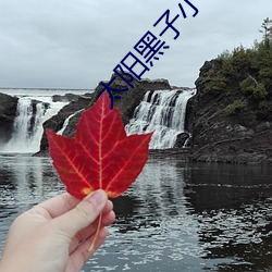 太阳(yáng)黑子小说