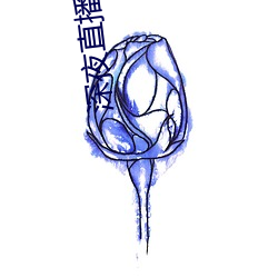 深夜(夜)直播(播)APP