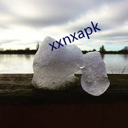 xxnxapk