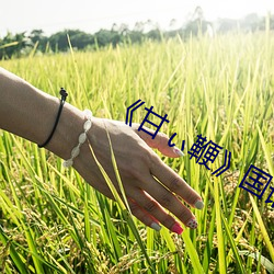 《甘ぃ鞭》國語版