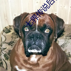 七界傳說後傳