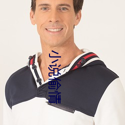 小说偷情