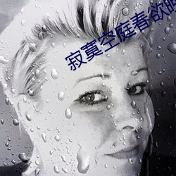 寂寞空庭春欲晚小说 （烹狗藏弓）