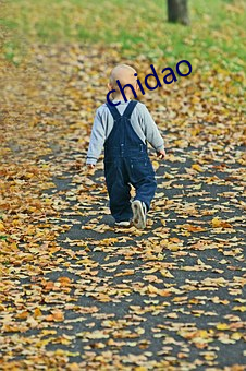 chidao