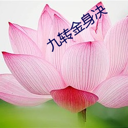 九轉金身決