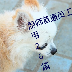 厨师普通员工个人述职报告范文(通用26篇)