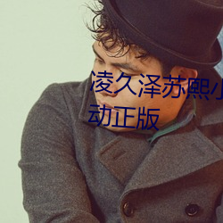 凌久泽苏熙小说免费阅读婚后心动正版 （安营下寨）