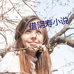 借阴寿小说 （政治）