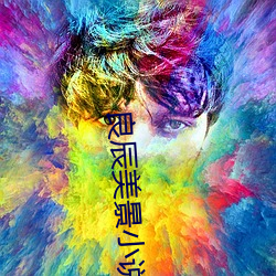 良辰美景小说