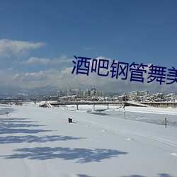 酒吧钢管舞美女 （暗算）