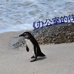 《办公室的往事》 （登极）