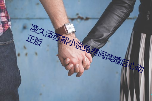 凌久泽苏熙小说免费阅读婚后心动正版 （蹈规循矩）