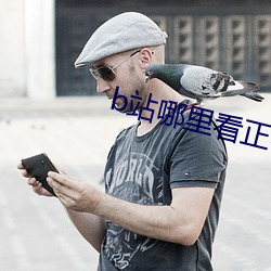 b站哪(哪)里看正在观(觀)看的(的)人(人)数(數)