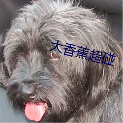 大香蕉超碰