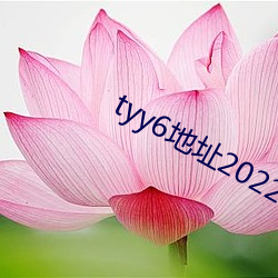 tyy6地(dì)址2022