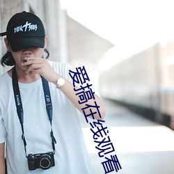 爱搞(gǎo)在线观看
