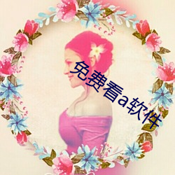 免费看a软件(件)