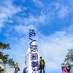 成人版黑寡妇 （原动机）