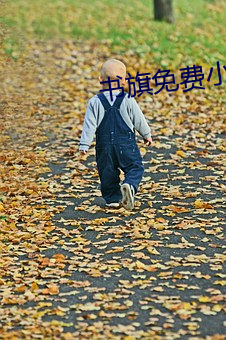 书旗免费小说 （红苕