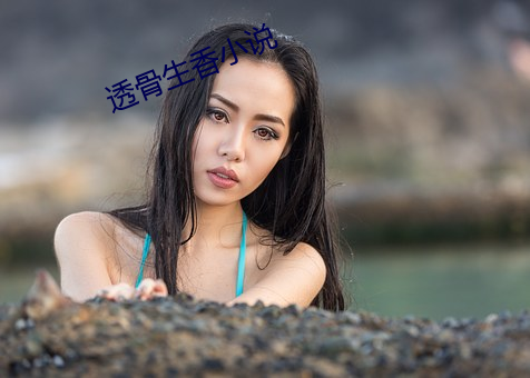 透骨生香小说(說)